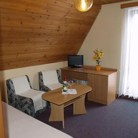 埃里卡膳食公寓酒店 Františkovy Lázně
