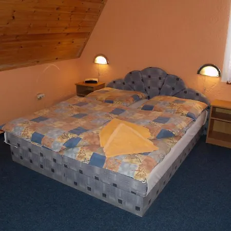 Erika Guest house 3*