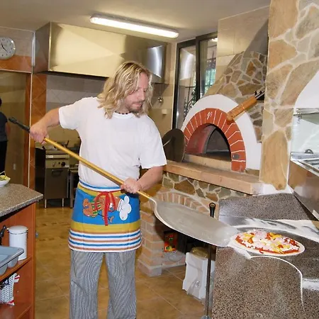 埃里卡膳食公寓酒店 Františkovy Lázně