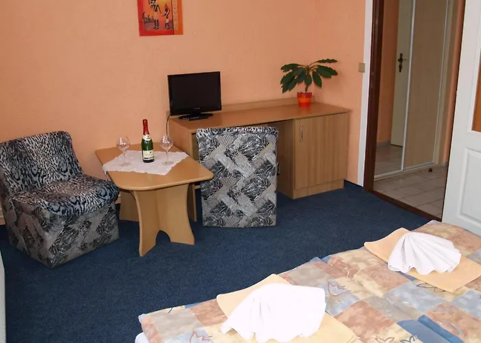 Erika Guest house 3*