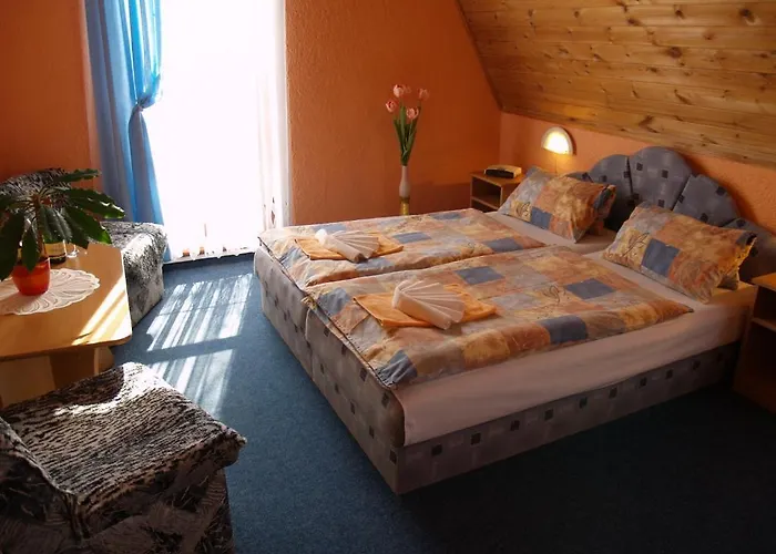 Guest house Erika Frantiskovy Lazne