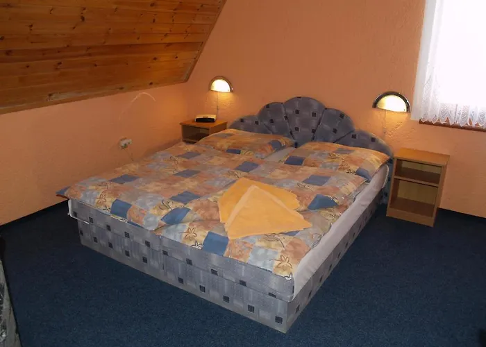 Erika Guest house 3*